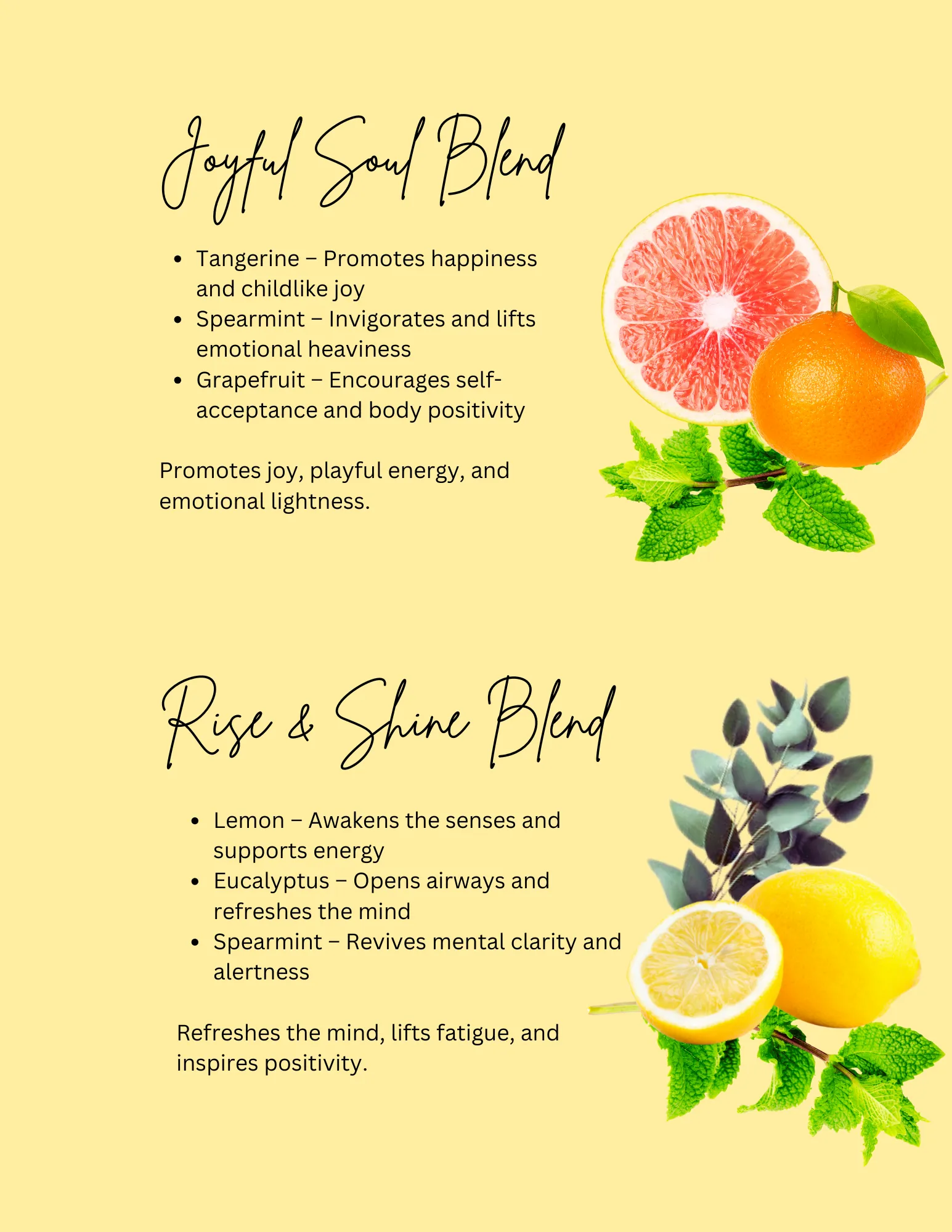 oil info