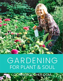 free guide